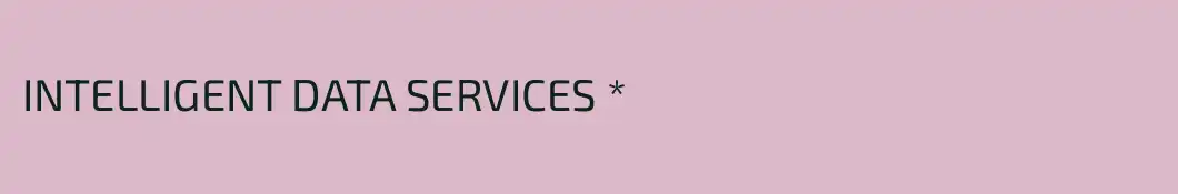 INTELLIGENT DATA SERVICES *